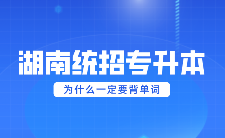 湖南统招专升本为什么一定要背单词？