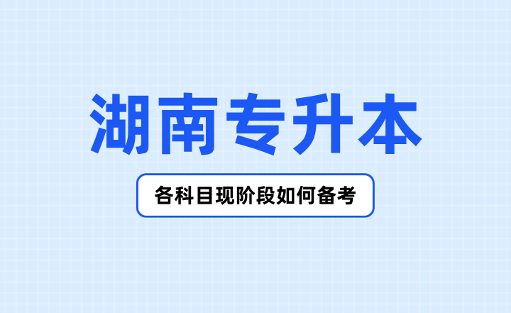 2024年湖南专升本各科目现阶段如何备考？