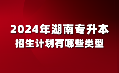 2024年湖南专升本招生计划有哪些类型