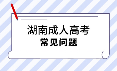 2024年湖南成考院校中的文科该如何复习?