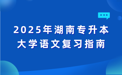 2025年湖南专升本大学语文复习指南